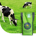 MRS Seeds & Mixtures Graze - BG3 | Blijvend Grasland 15KG