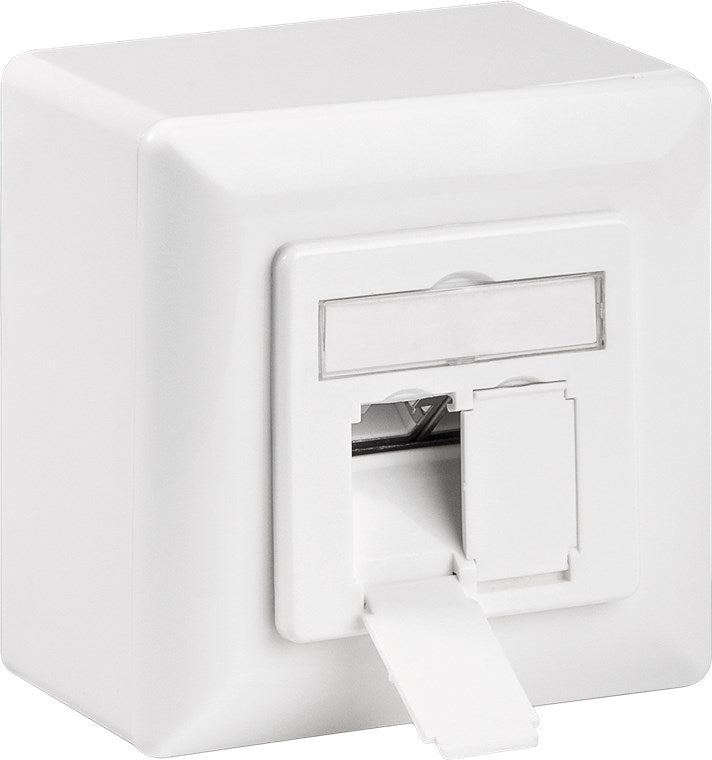 CAT 6A universele wandcontactdoos incl. frame voor opbouwmontage