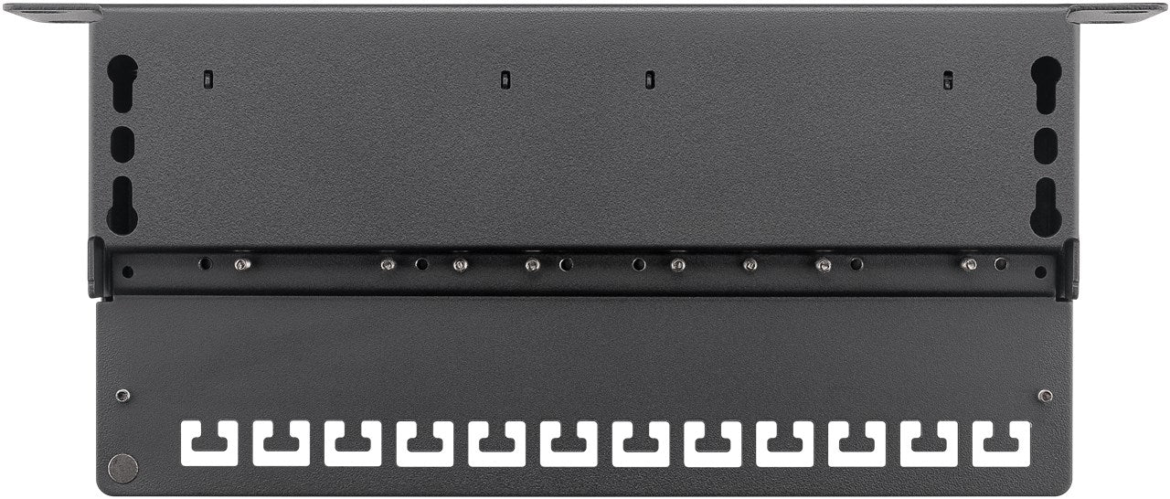 CAT 6a patchpaneel, 10 inch, 12-poorts