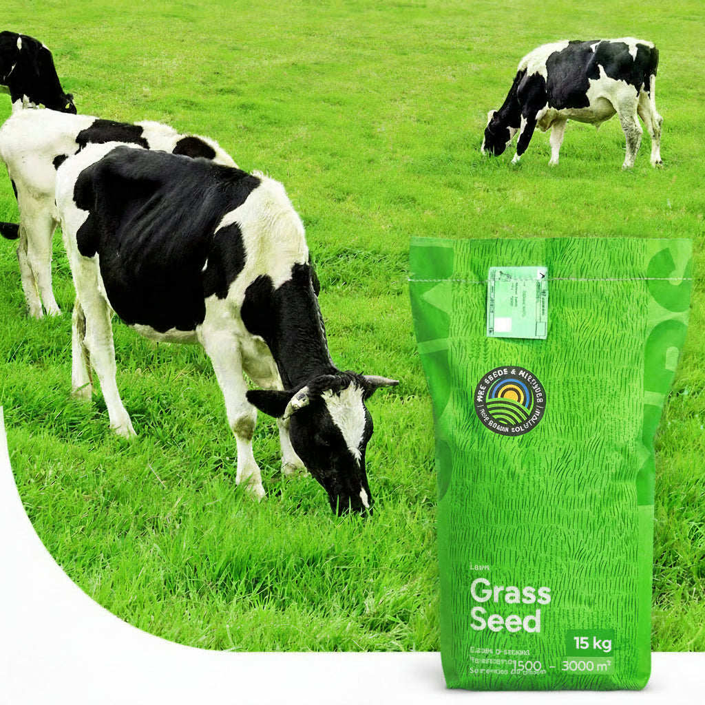 MRS Seeds & Mixtures Graze - BG11 | Weide Graszaad 15KG