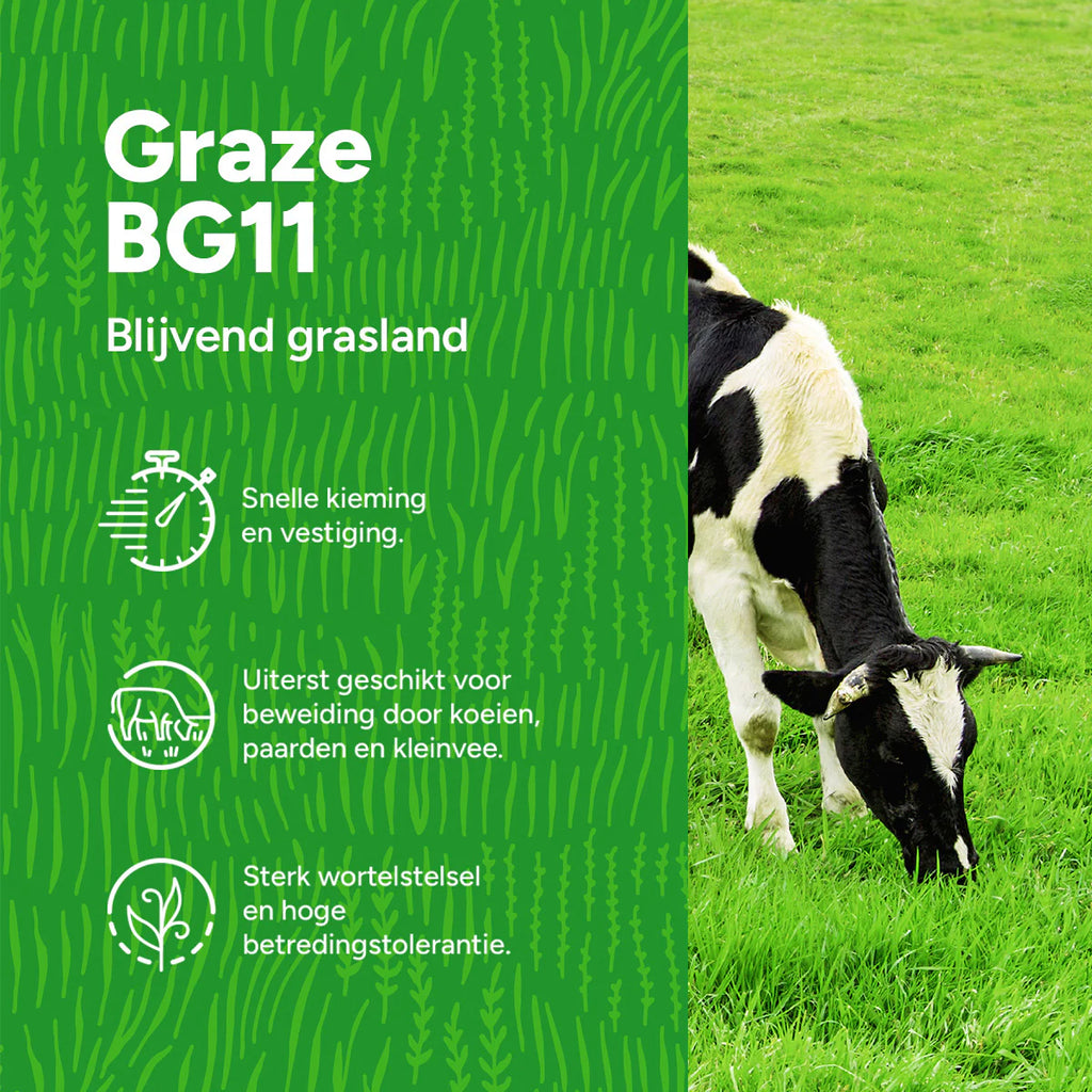 MRS Seeds & Mixtures Graze - BG11 | Weide Graszaad 15KG